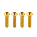 Titanium Bolts for ebike