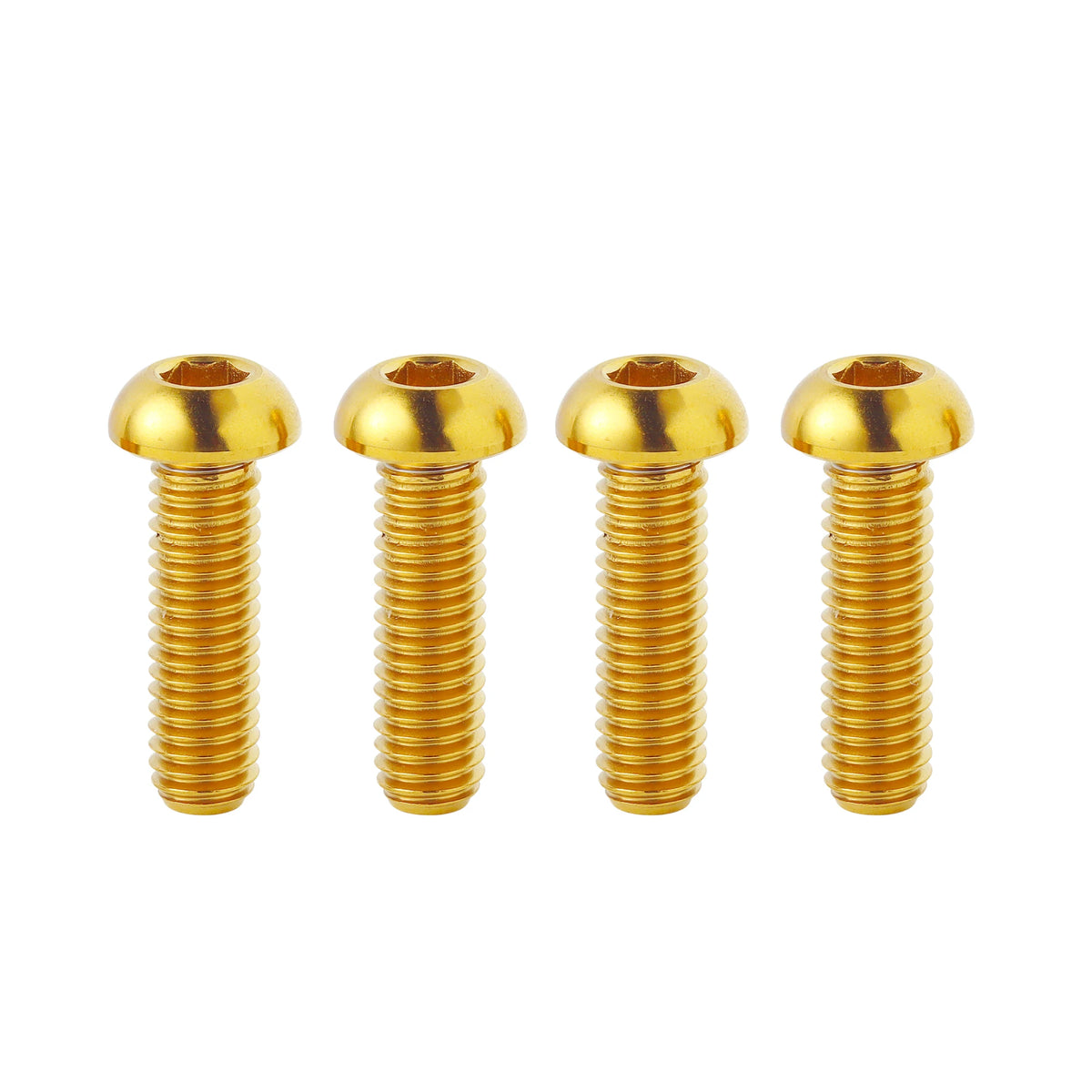 Titanium Bolts for ebike