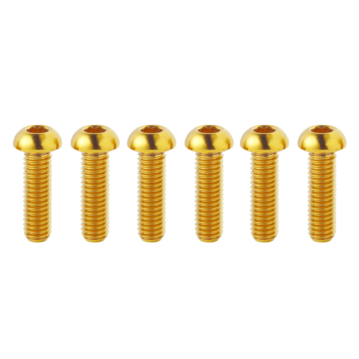 Titanium Bolts for ebike