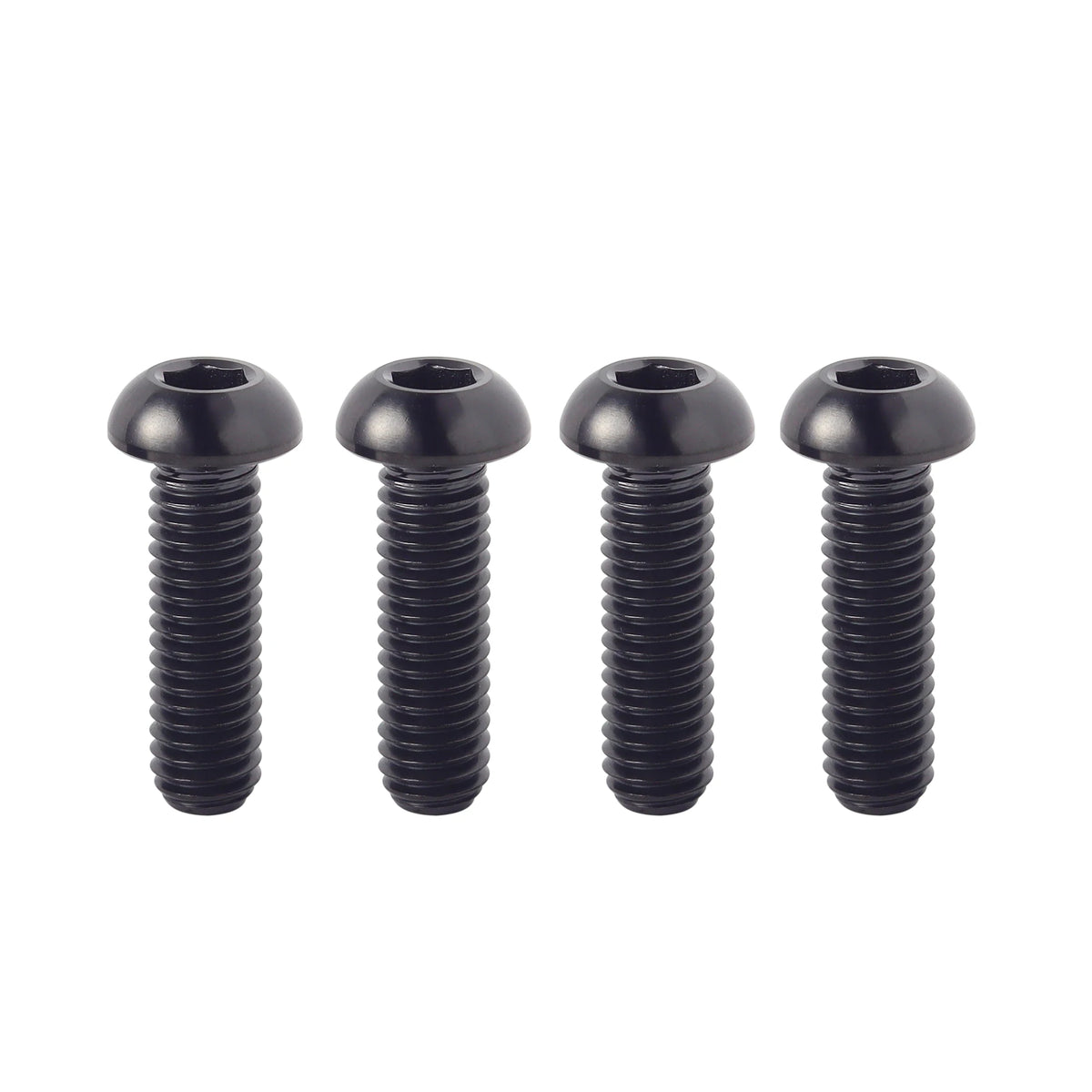 Titanium Bolts for ebike