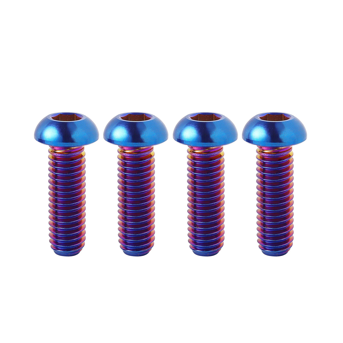 Titanium Bolts for ebike